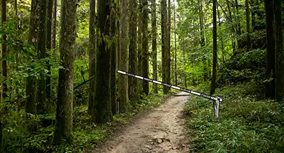 Fehler vermeiden: Die 10 häufigsten Stolpersteine bei der Gründung